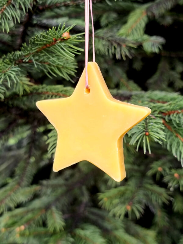 Christmas Ornament Soap in Star Shape